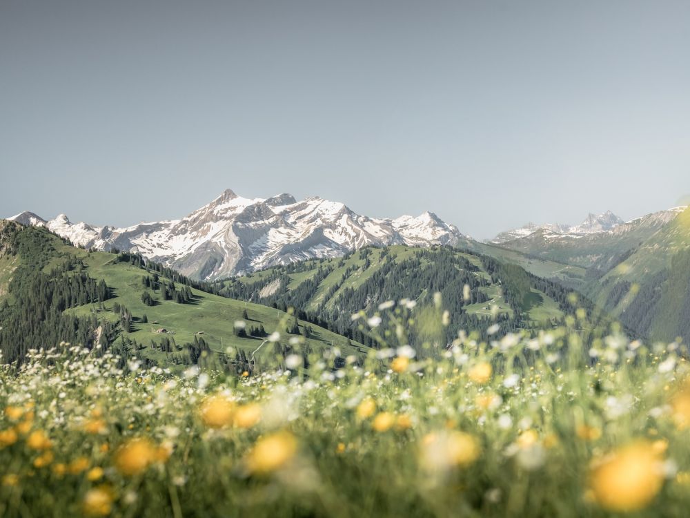 Rinderberg Bergwanderung im Sommer.